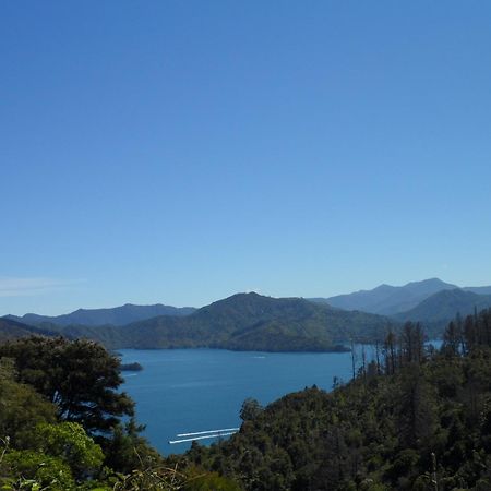 Sequoia Lodge Backpackers Picton Eksteriør bilde