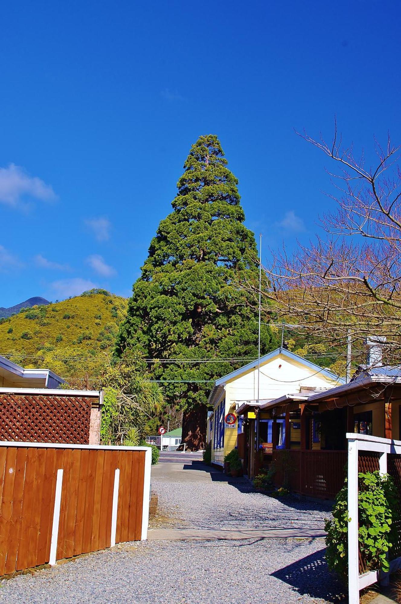 Sequoia Lodge Backpackers Picton Eksteriør bilde