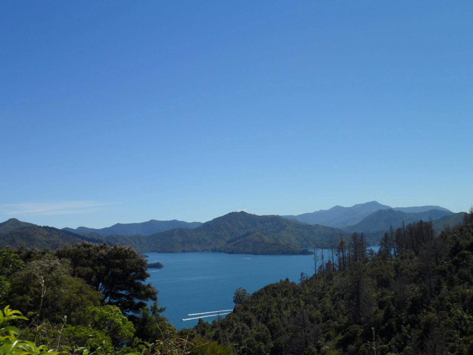 Sequoia Lodge Backpackers Picton Eksteriør bilde