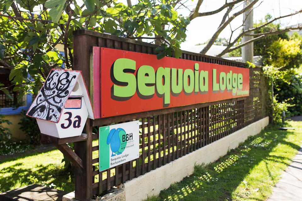 Sequoia Lodge Backpackers Picton Eksteriør bilde